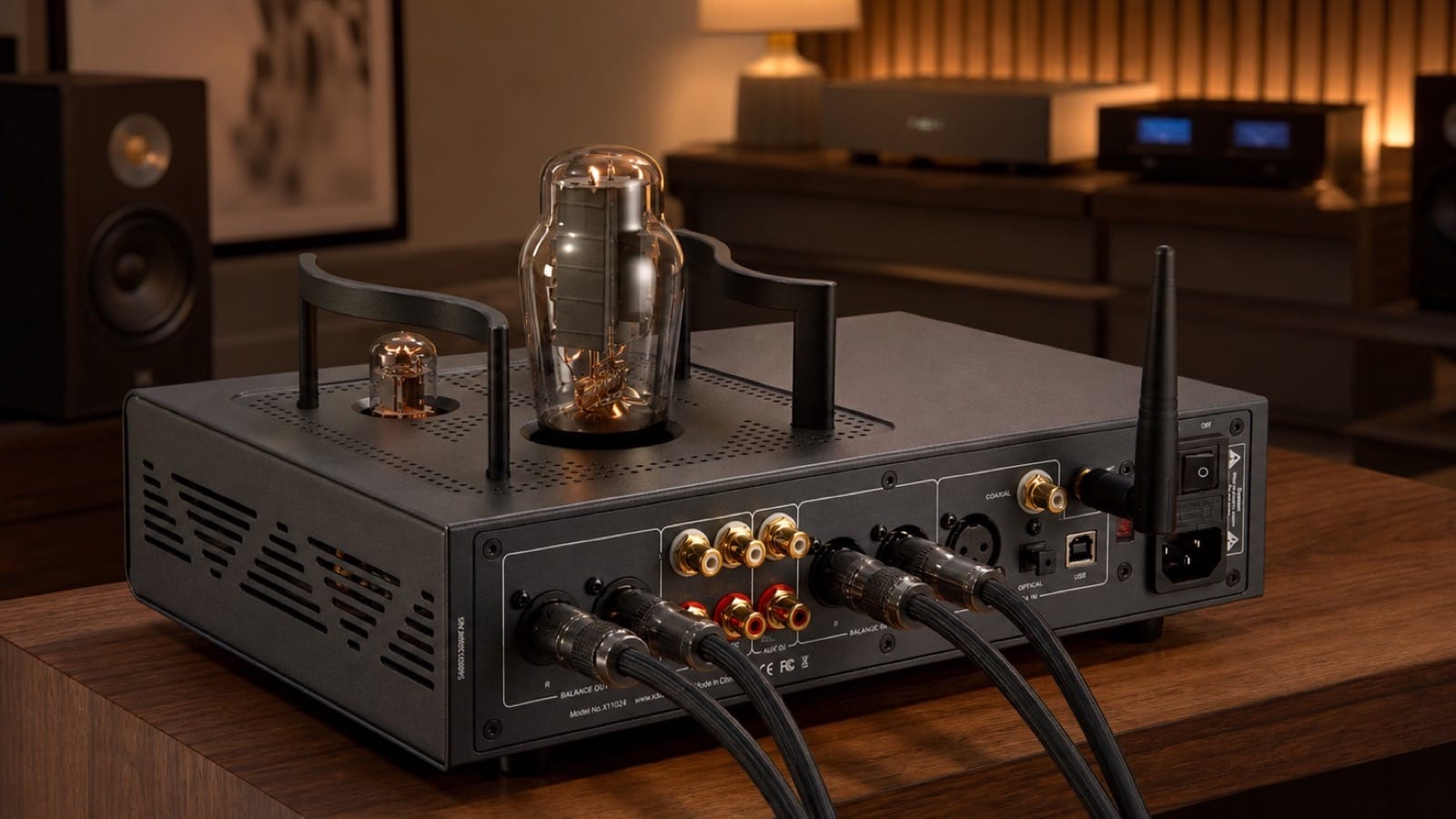 Modular DAC. Tube Authority.